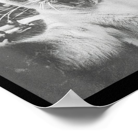 Funny Ai Siamese Cat Selfie With Santa Claus Chris Poster (Hoek)