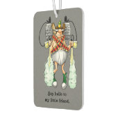 Funny Air Freshener voor hem Luchtverfrisser (Links)