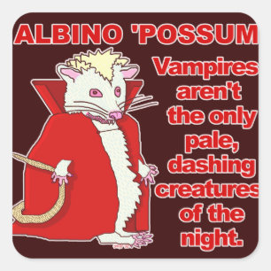 Funny Albino Possum Vampire Animal Vierkante Sticker