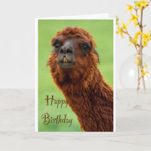 Funny Alpaca Birthday Card Kaart (Gele Bloem)