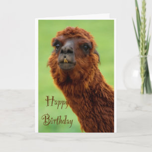 Funny Alpaca Birthday Card Kaart
