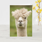 Funny Alpaca Birthday Card Kaart (Gele Bloem)