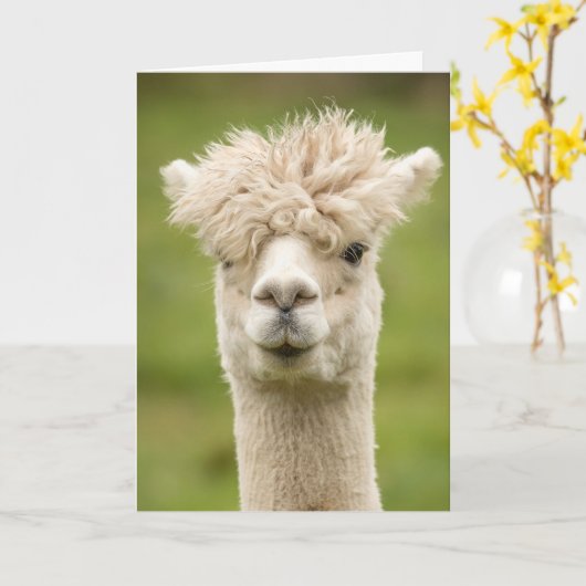 Funny Alpaca Birthday Card Kaart (Gele Bloem)