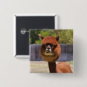 Funny Alpaca Button (Voorkant /achterkant)