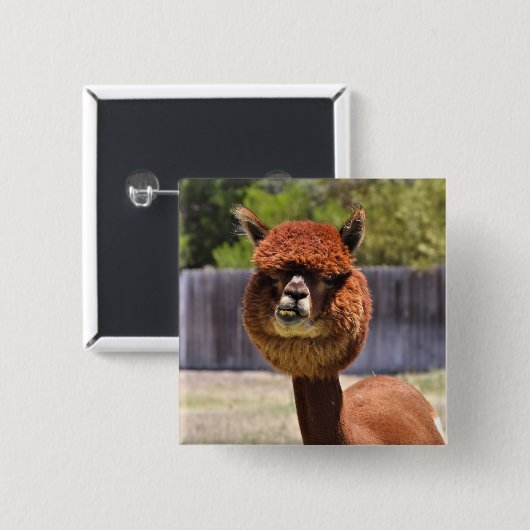 Funny Alpaca Button (Voorkant /achterkant)