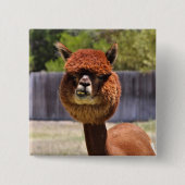 Funny Alpaca Button (Voorkant)