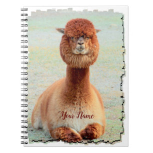 Funny Alpaca-fotonotebook Notitieboek
