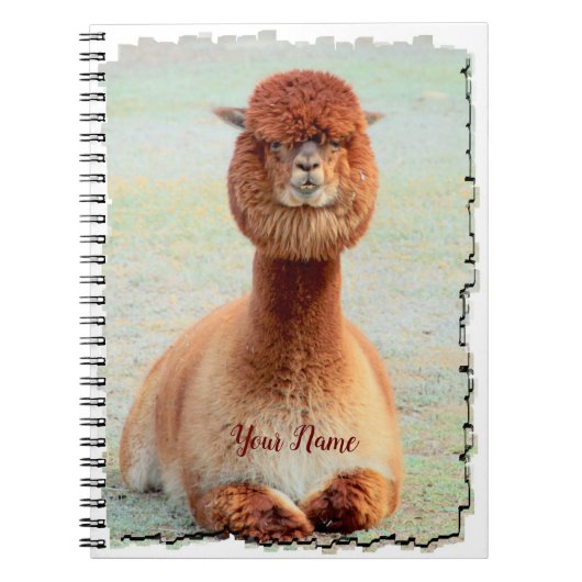 Funny Alpaca-fotonotebook Notitieboek (Voorkant)