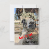 Funny Alpaca Kaart, elke keer dat er een ongeluk g Bedankkaart (Voorkant)
