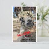 Funny Alpaca Kaart, elke keer dat er een ongeluk g Bedankkaart (Staand voorkant)