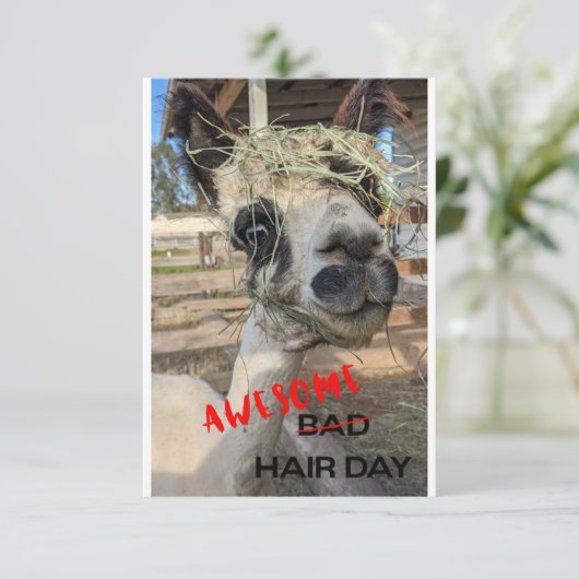 Funny Alpaca Kaart, elke keer dat er een ongeluk g Bedankkaart (Staand voorkant)