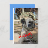 Funny Alpaca Kaart, elke keer dat er een ongeluk g Bedankkaart (Voorkant / Achterkant)