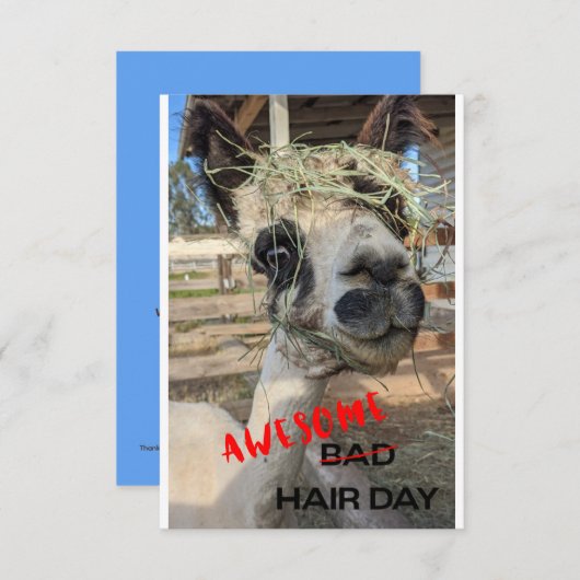 Funny Alpaca Kaart, elke keer dat er een ongeluk g Bedankkaart (Voorkant / Achterkant)