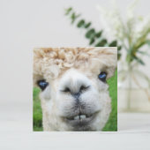 Funny Alpaca-kerstkaart Kaart (Staand voorkant)