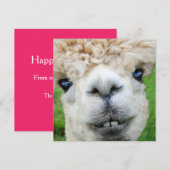 Funny Alpaca-kerstkaart Kaart (Voorkant / Achterkant)