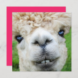 Funny Alpaca-kerstkaart Kaart