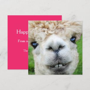 Funny Alpaca-kerstkaart Kaart