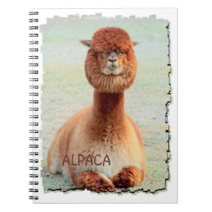 Funny Alpaca-laptop Notitieboek