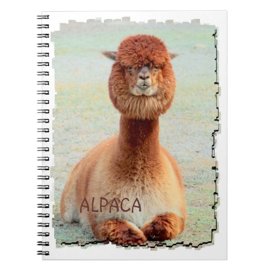 Funny Alpaca-laptop Notitieboek (Voorkant)