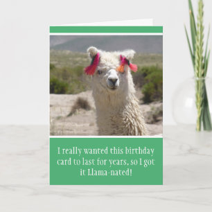 Funny Alpaca Llama Birthday Kaart