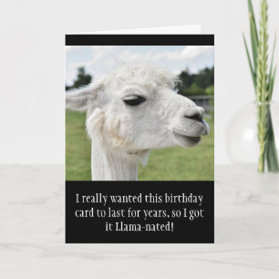 Funny Alpaca Llama Birthday Kaart