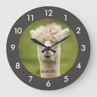Funny Alpaca|Llama Custom