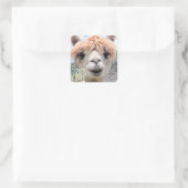 Funny Alpaca Llama Raak me niet aan Vierkante Sticker (Tas)