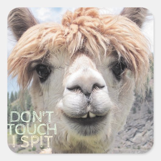 Funny Alpaca Llama Raak me niet aan Vierkante Sticker (Voorkant)