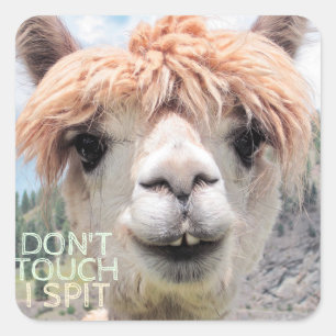 Funny Alpaca Llama Raak me niet aan Vierkante Sticker