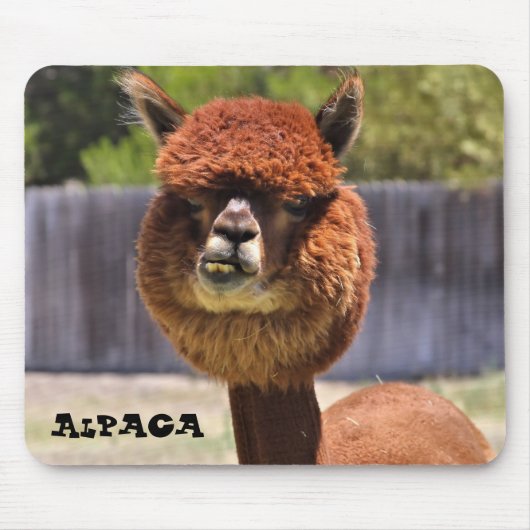 Funny Alpaca Mousepad Muismat (Voorkant)
