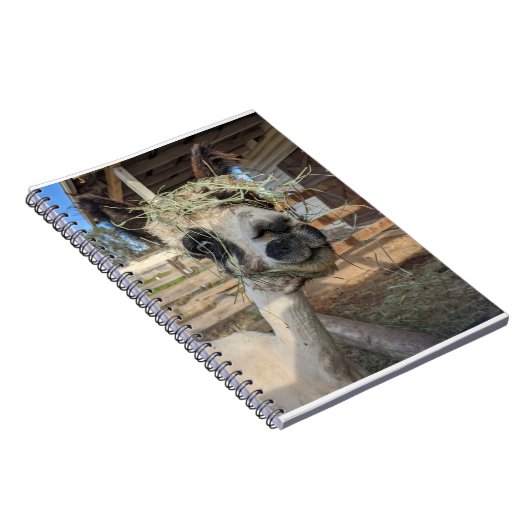 Funny Alpaca Notitieboek (Rechterzijde)