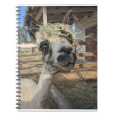 Funny Alpaca Notitieboek (Voorkant)