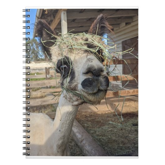 Funny Alpaca Notitieboek (Voorkant)