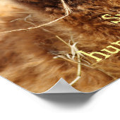 Funny Alpaca Poster (Hoek)