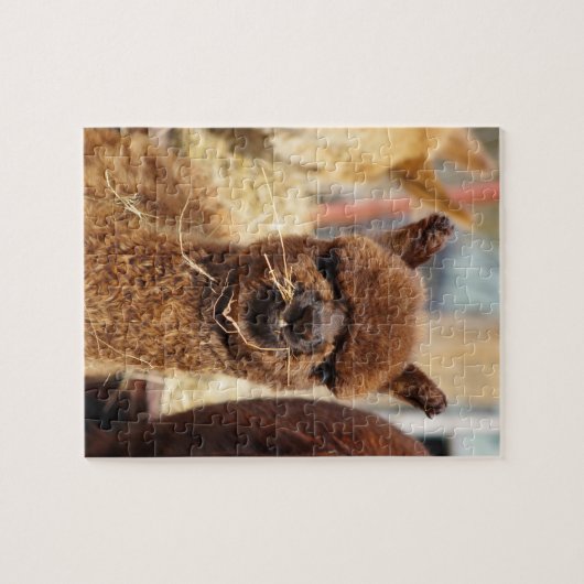 Funny Alpaca Puzzle Isabella Legpuzzel (Horizontaal)