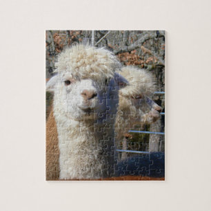 Funny Alpaca Puzzle Legpuzzel