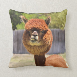 Funny Alpaca Sierkussen