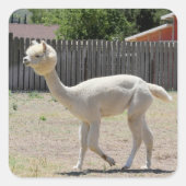 Funny Alpaca Sticker (Voorkant)