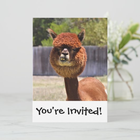 Funny Alpaca Uitnodiging (Staand voorkant)