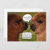 Funny Alpacalypse Scheming Briefkaart (Voorkant / Achterkant)