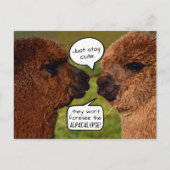 Funny Alpacalypse Scheming Briefkaart (Voorkant)