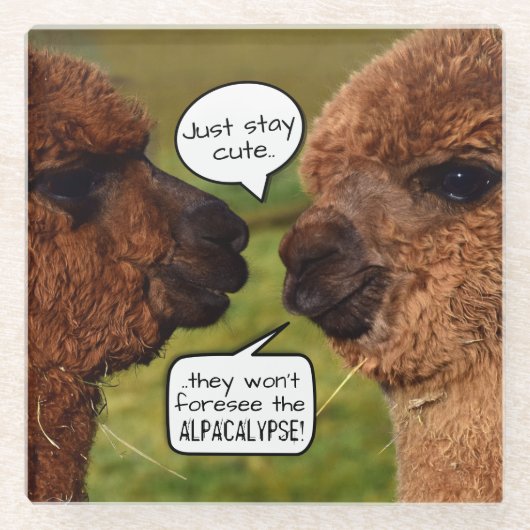 Funny Alpacalypse Scheming Glazen Onderzetter (Voorkant)