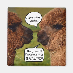 Funny Alpacalypse Scheming Magneet