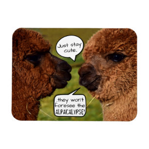 Funny Alpacalypse Scheming Magneet