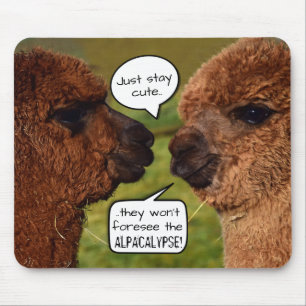 Funny Alpacalypse Scheming Muismat