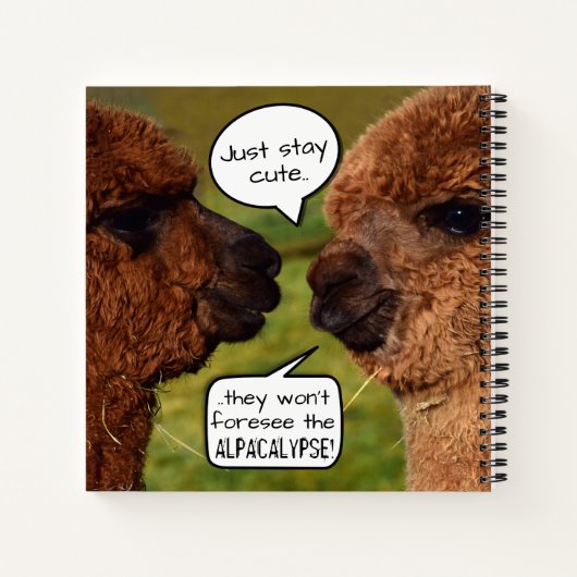 Funny Alpacalypse Scheming Notitieboek (Achterkant)