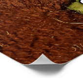 Funny Alpacalypse Scheming Poster (Hoek)