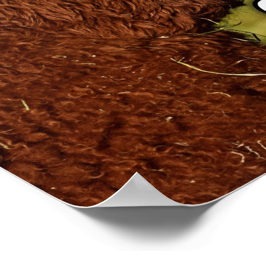 Funny Alpacalypse Scheming Poster (Hoek)