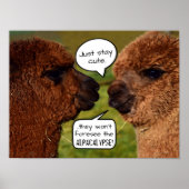 Funny Alpacalypse Scheming Poster (Voorkant)