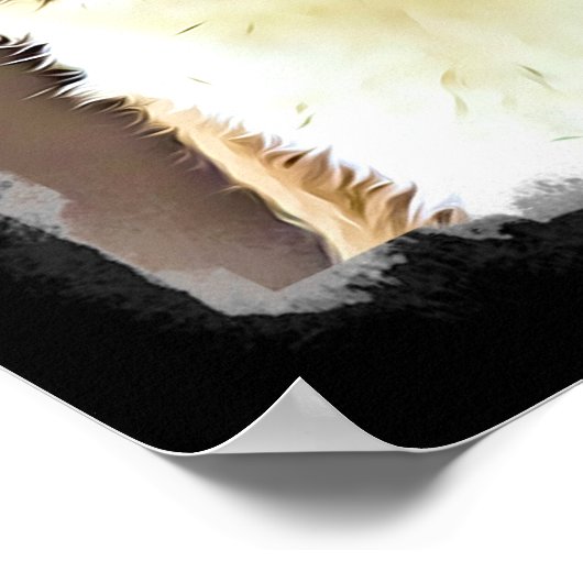 Funny Alpacas Poster (Hoek)